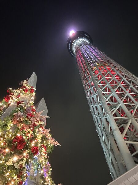 Image 20251203 213719 874