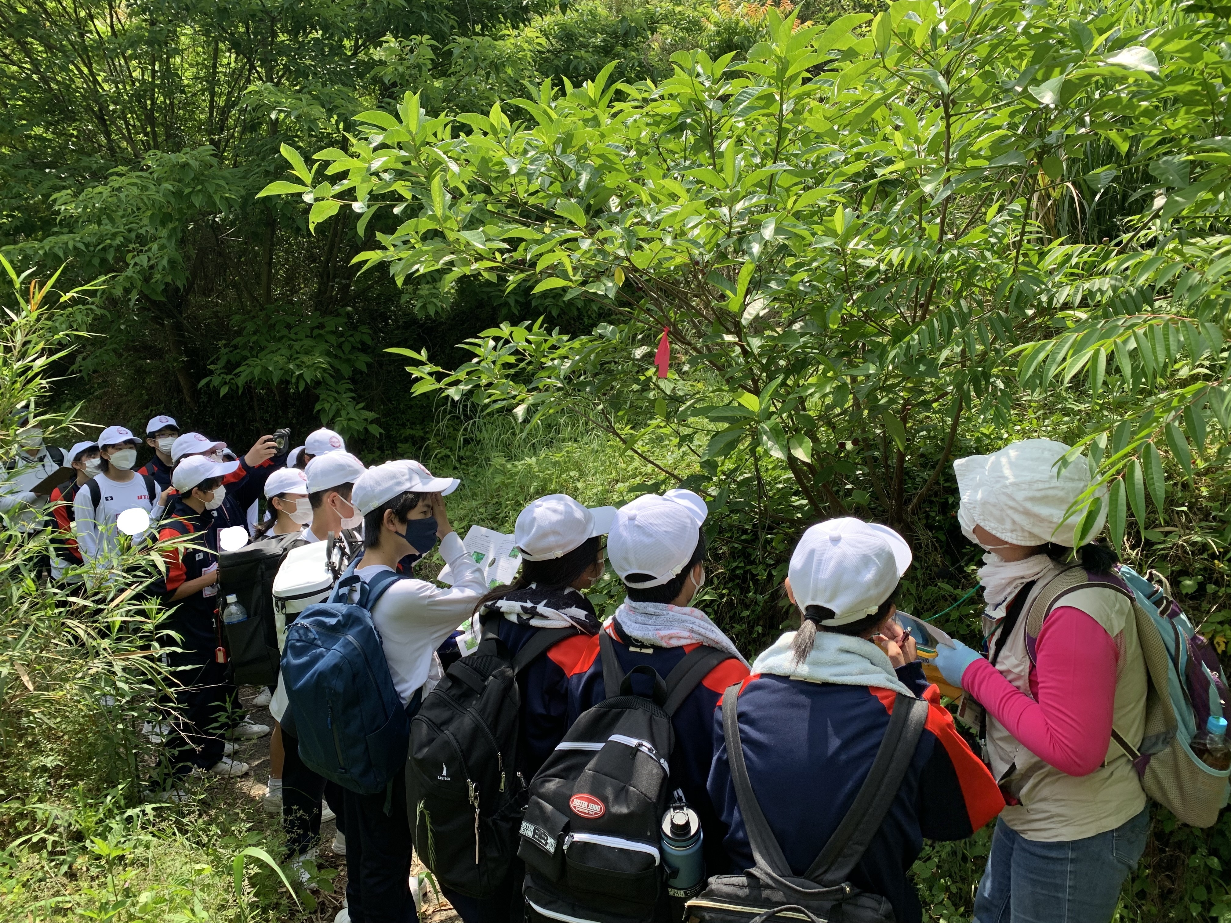 白山登山